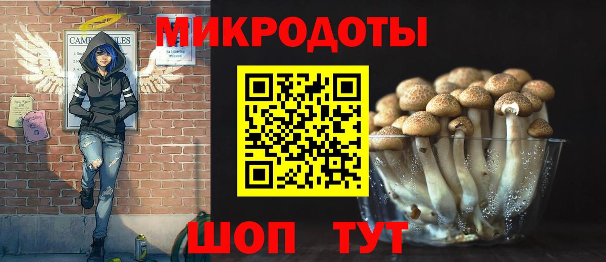 Галлюциногенные грибы ЛСД  Вход с VPN  Братск  купить наркоту  Псилоцибиновые грибы ЛСД 